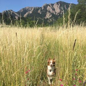 Meet your Posher, Kylie